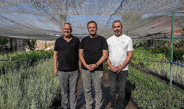 Lavanta Rüyası: Bornova’da Şehrin Kalbinde Yeniden Doğan “Mavi-Lavanta Parkı” ile Nefes Alınacak Geniş Yeşil Alan