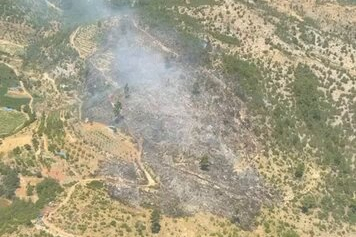 Orman Yangınlarına Karşı Milletin Ortak Sessiz Mücadelesi: Üç Yangın, Üç Dakikada Kontrol Altında