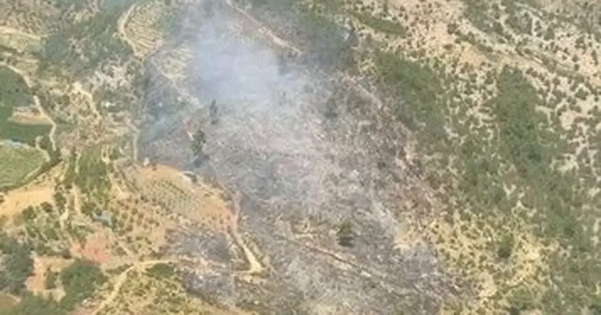 Orman Yangınlarına Karşı Milletin Ortak Sessiz Mücadelesi: Üç Yangın, Üç Dakikada Kontrol Altında