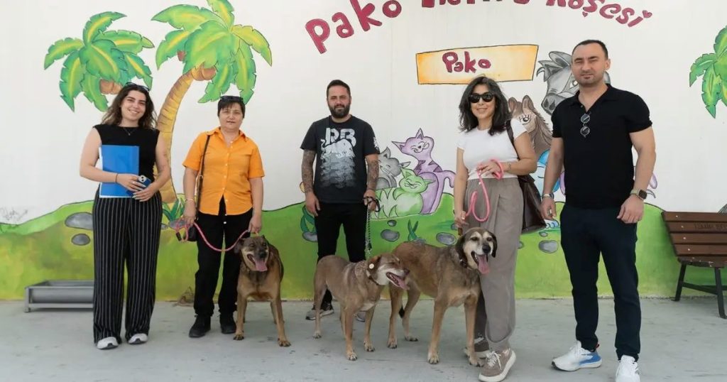 Patili Dostlar İçin Yeni Bir Başlangıç: Belediyenin Birimlerinde Köpekler Güvenli Yuva ve Aile Bularak Yeniden Çalışma Arkadaşları Oldu