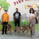Patili Dostlar İçin Yeni Bir Başlangıç: Belediyenin Birimlerinde Köpekler Güvenli Yuva ve Aile Bularak Yeniden Çalışma Arkadaşları Oldu