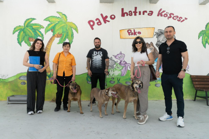 Patili Dostlar İçin Yeni Bir Başlangıç: Belediyenin Birimlerinde Köpekler Güvenli Yuva ve Aile Bularak Yeniden Çalışma Arkadaşları Oldu