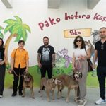 Patili Dostlar İş Başında: Şehirdeki Köpekler İçin Yeni Bir Umut ve Birliktelik Hikayesi