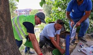Sıcak Günlerde Sokak Dostlarımız İçin Park ve Yeşil Alanlarda Akıllı Su Kaplarıyla Büyük Dayanışma
