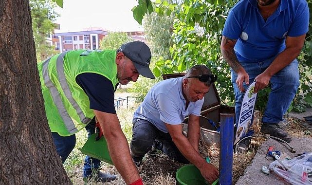 Sıcak Günlerde Sokak Dostlarımız İçin Park ve Yeşil Alanlarda Akıllı Su Kaplarıyla Büyük Dayanışma
