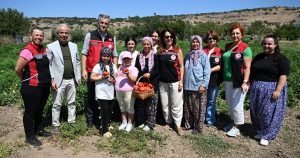 Yamanlar Tarla Domatesi İçin Tarla Günü Coşkusu ve Üreticiyle Saha İş Birliği
