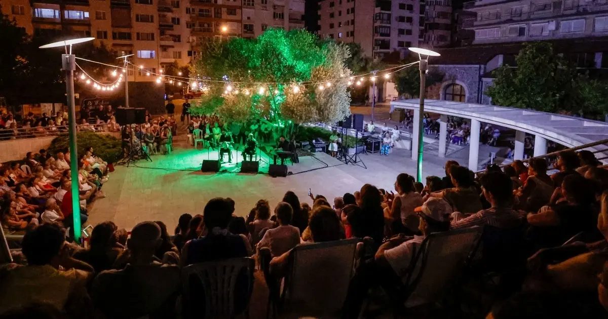 Zeytin Altında Gece: Makamların Büyülü Dili ve Akustik Dokunuşlar