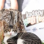 Bir Çizgi Deryasında Buluşan Şehir: Kadıköy Çizgi Festivali’nin Tınıları ve İzleri