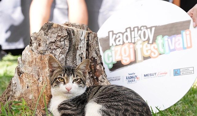 Bir Çizgi Deryasında Buluşan Şehir: Kadıköy Çizgi Festivali’nin Tınıları ve İzleri