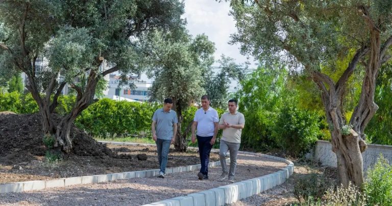 Buca Aliberti Gençlik Parkı Yeniden Doğuşu: Doğayla İç İçe, Güvenli ve Aktif Bir Kent Alanı