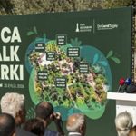 Buca Halk Parkı: 22.600 Metrekarelik Dönüşümle Şehrin Yeni Yaşam Merkezine Doğan Canlı Bir İyileştirme Hikayesi