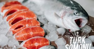Future Fish Eurasia 2026: Küresel Su Ürünleri Arenasında Türkiye’nin Güçlü Adımı ve Yeni Nesil İş Birliği Platformu