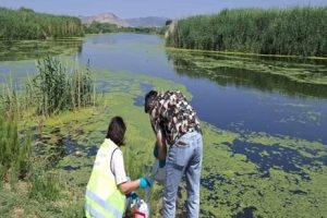 Gediz Nehri’nin Kirleticiliğiyle Mücadelede Sınırları Zorluyor: İzmir ve Manisa’nın Ortak İzleme Seferi ve Şok Edici Bulgular