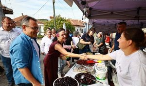 Gökçealan Osmancık Üzümünün Yükselişi: Toprağın Şenlikte Filizlenen Hikayesi