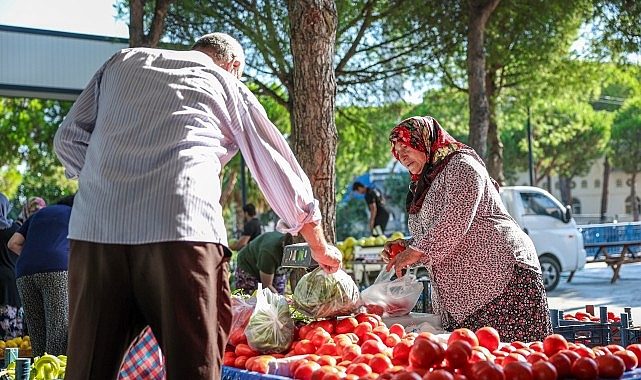 Hacıömerli’de Salı Pazarı: Mahalle Üretimini Şehrin Nabzına Dair Her Salı Canlandıran Buluşma