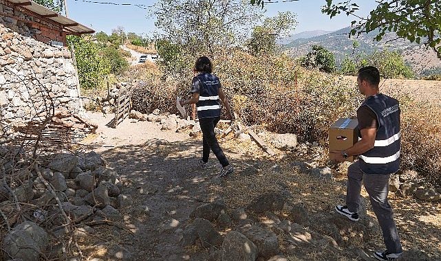 İzmir’in Her Köşesinde Kapı Çalınan Umut Dalgası: Engeller aşılarak Sosyal Destek Hizmetleri Her Eve Ulaşıyor
