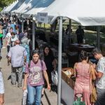 Kitap Bahçesi: Kültürpark’ta Dikenli Yolların Ötesinde Bir Buluşma
