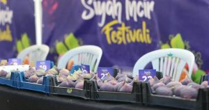 Osmangazi Siyah İncir Festivali: Üreticiyle Hüzün, Umut ve Birliktelik İçinde Kutlama