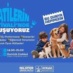 Patilerin Patikası: Dominik Caddesi’nde Bir Mizaç Yolculuğu ve Sevgi Dolu Yaşama Daveti