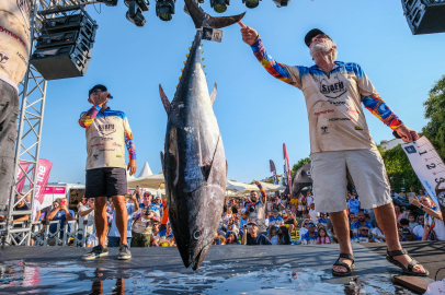 Sığacık’ta Tuna Masters Heyecanı Yeniden Başlıyor: BARACUDA ve Teos Marina Sahneye Hazır