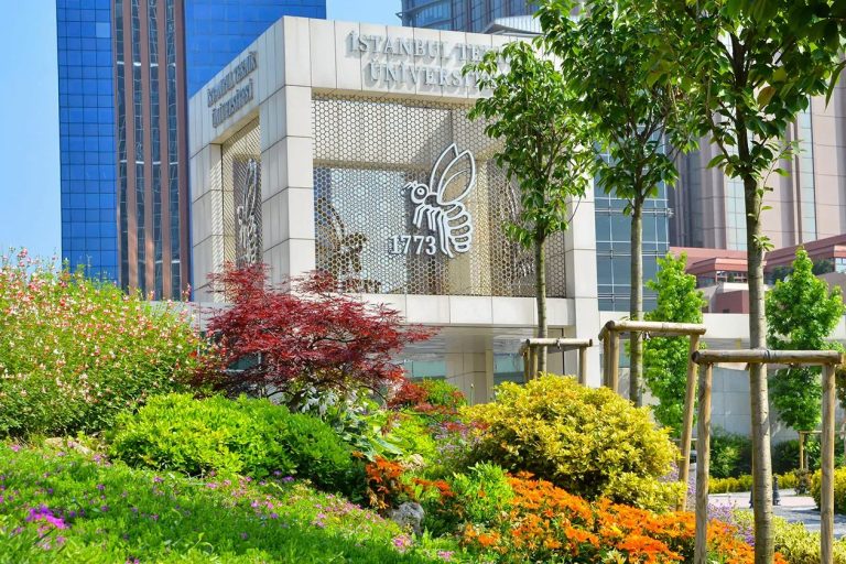 Türkiye’nin Sürdürülebilirlik Zirvesi: UI GreenMetric 2026 Raporunda Türk Üniversitelerinin Gövde Gösterisi ve Dijitalleşmenin Yükselişi