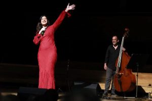 Işıklar Altında Ses: İzmir’de Cecilia Krull ile Ses Calmaları ve Renkli Müzik Yolculuğu
