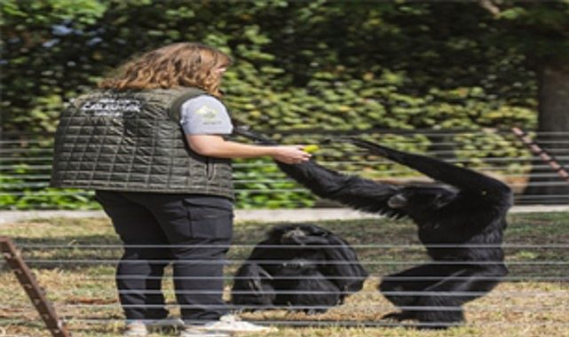İzmir’in Doğal Yaşam Parkı’nda Yeni Bir Başlangıç: Savannah, Mula, Justine ve Bruno’nun İzmir Macerası ve Bakıcı Tuğçe Nur Bostancı’nın Fedakarlığı
