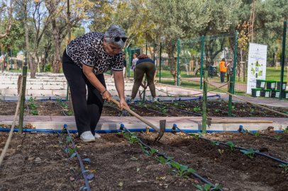 İzmir’in Mahalle Bostanında İyileşen Kadın: Toprağın Şifası ve Yeni Umutlar