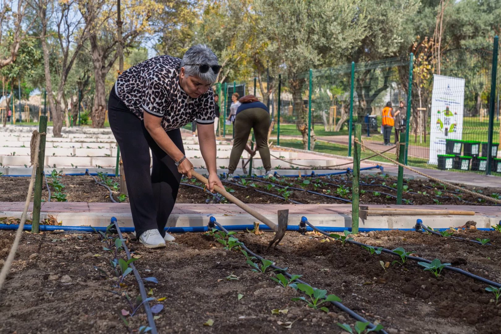 İzmir’in Mahalle Bostanında İyileşen Kadın: Toprağın Şifası ve Yeni Umutlar