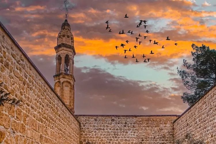 Mardin’in Taşından Sofrasına: Kültür Yoluyla Bir Şehrin Yansıması
