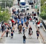 Orhanlı Erkence Zeytin Festivali: Doğanın İçinde Kuşaktan Kuşağa Zeytin Aşkı ve Dayanışma Rüzgârı